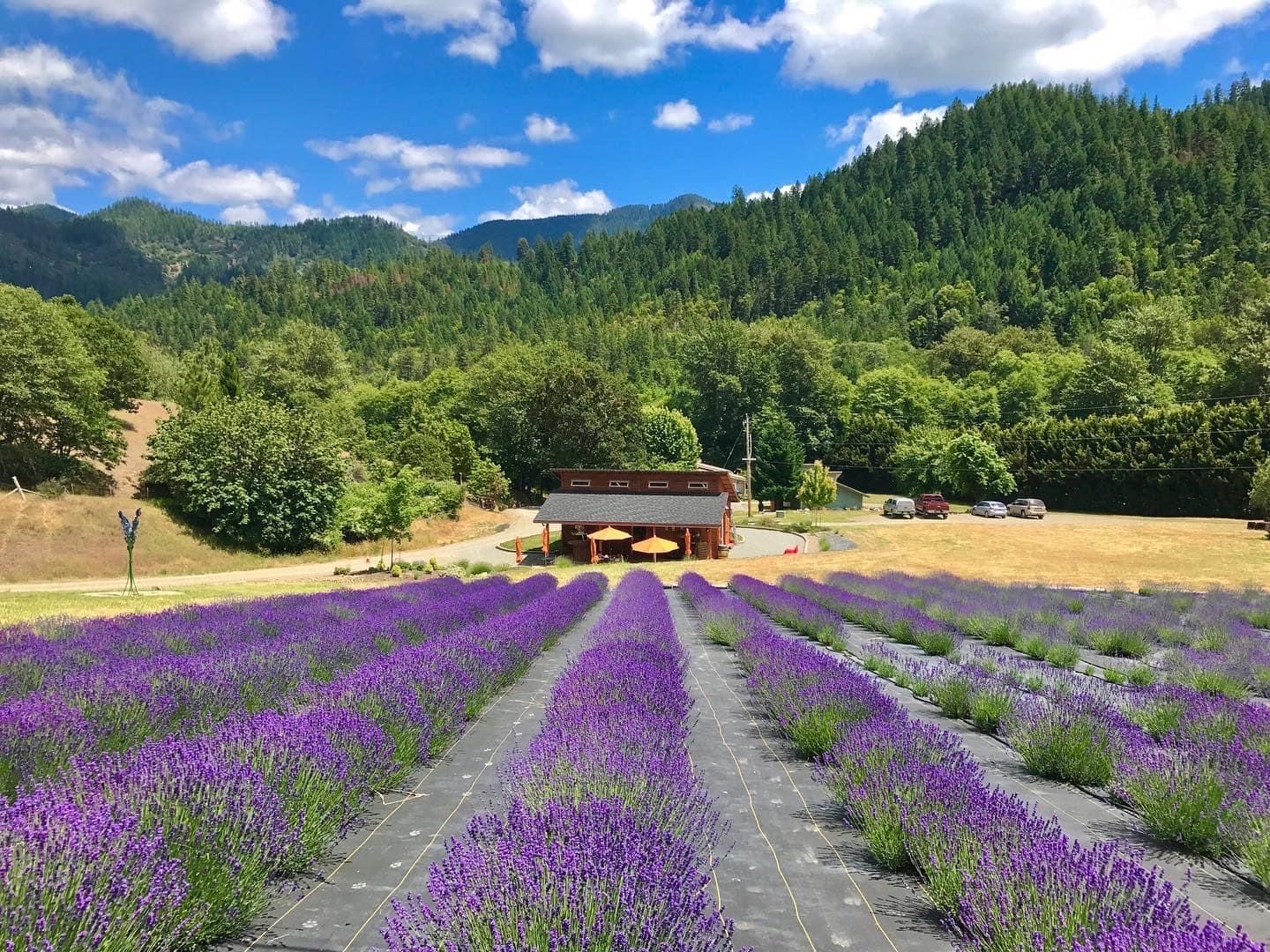 Applegate Valley, Oregon