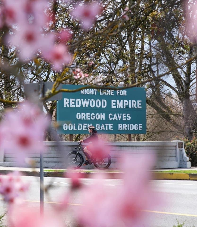 The Redwood Empire, Oregon Caves and Golden Gate Bridge highway sign in Grants Pass, framed by spring blossoms